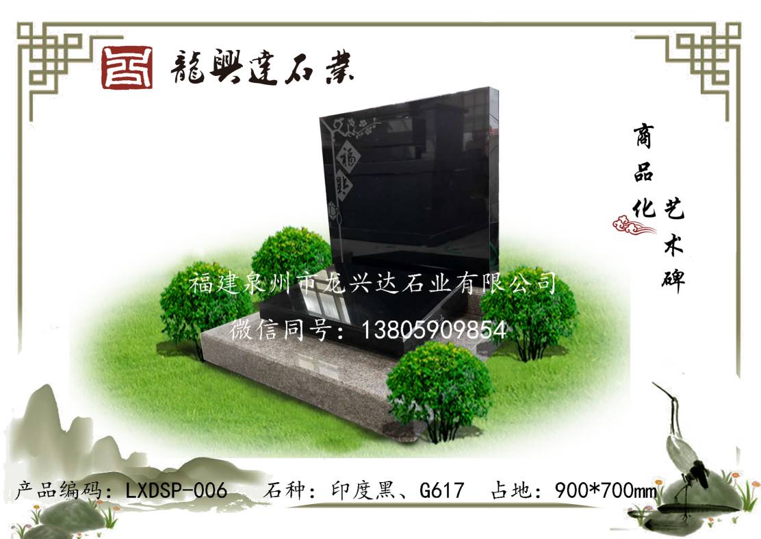 LXDSP-006