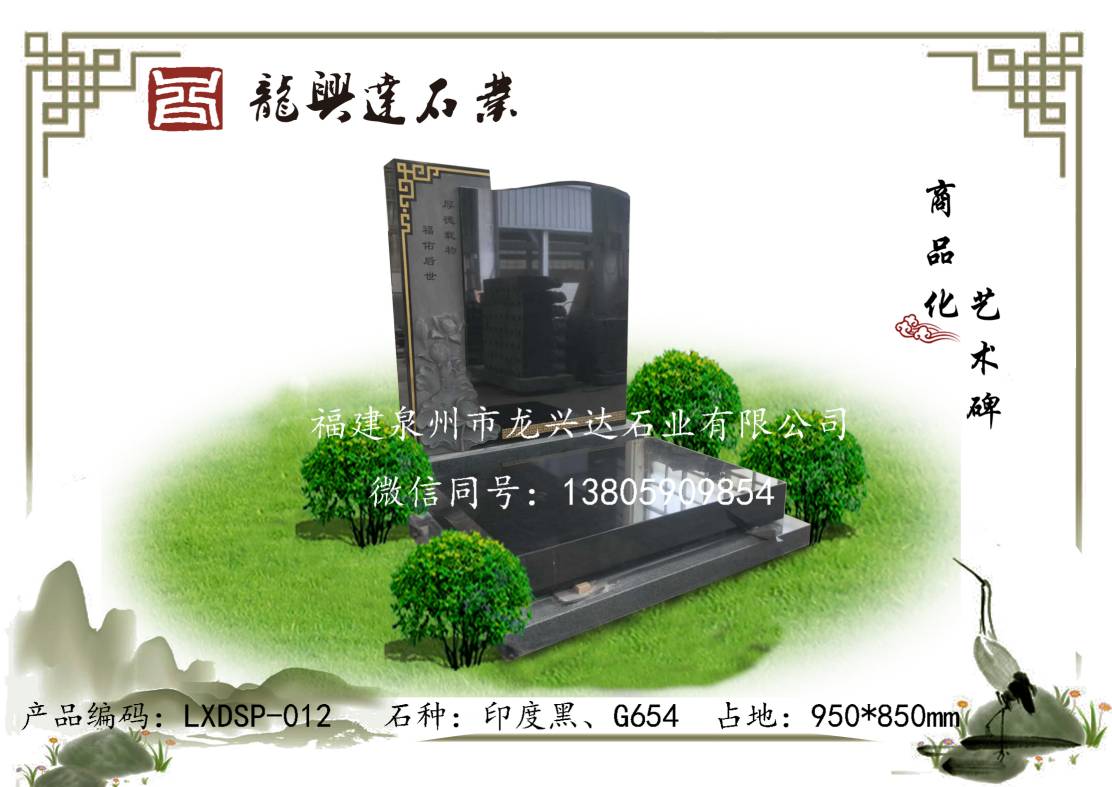 LXDSP-012
