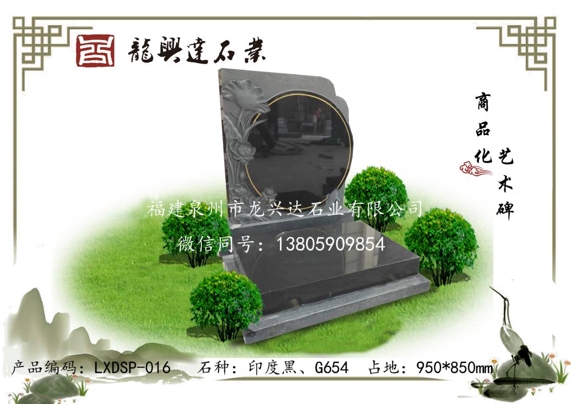 LXDSP-016