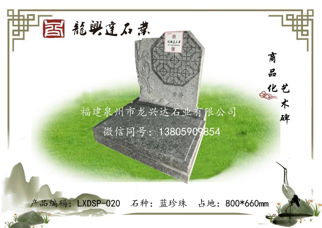 LXDSP-020