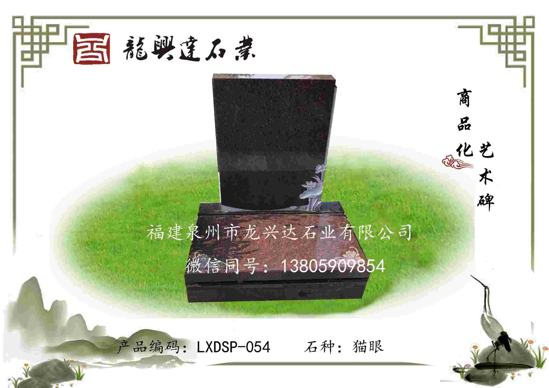 LXDSP-054