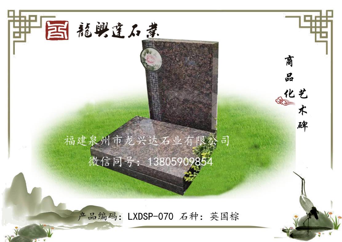 LXDSP-070