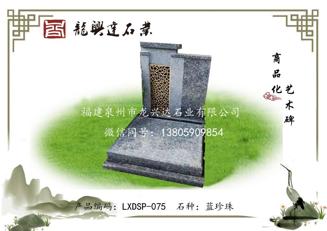 LXDSP-075