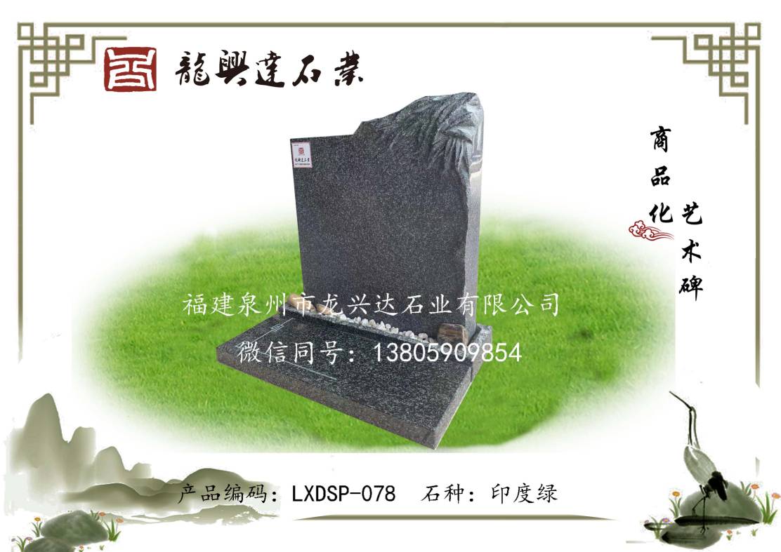 LXDSP-078
