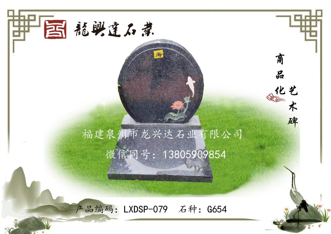 LXDSP-079