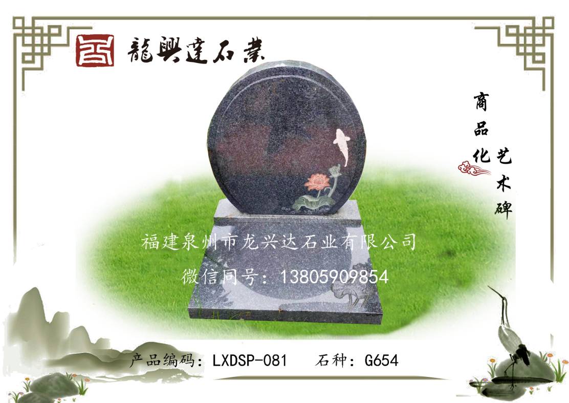 LXDSP-081