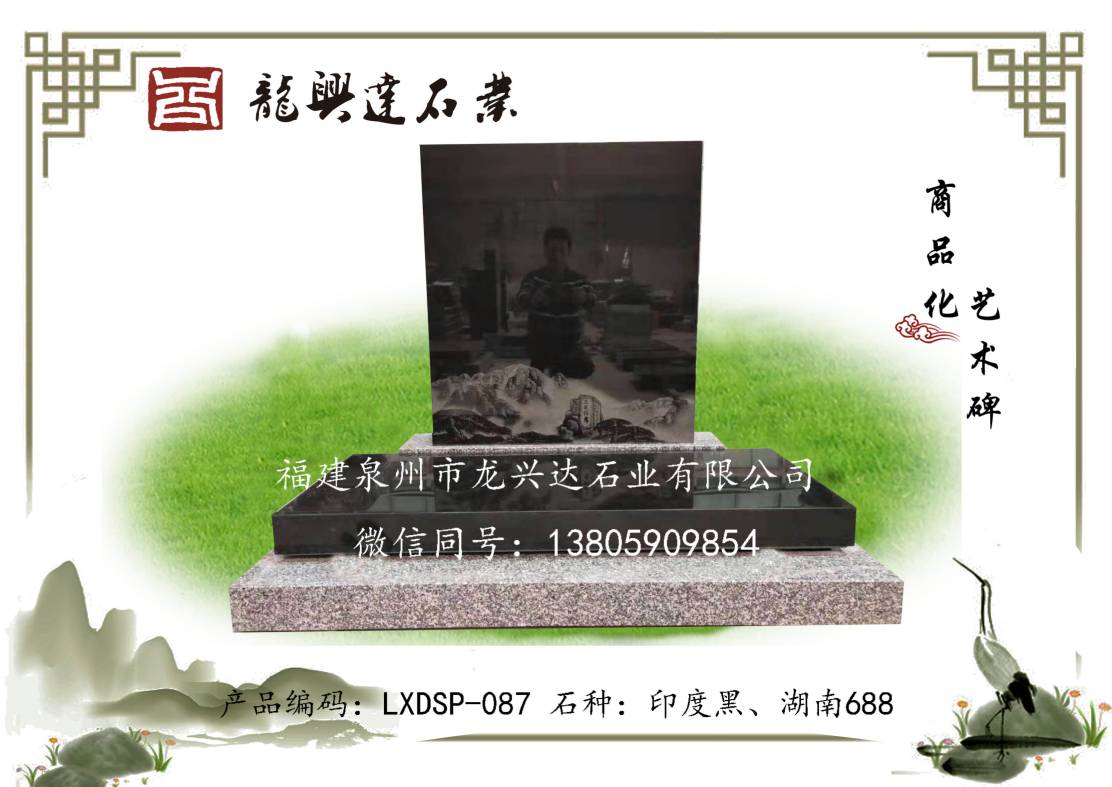 LXDSP-087