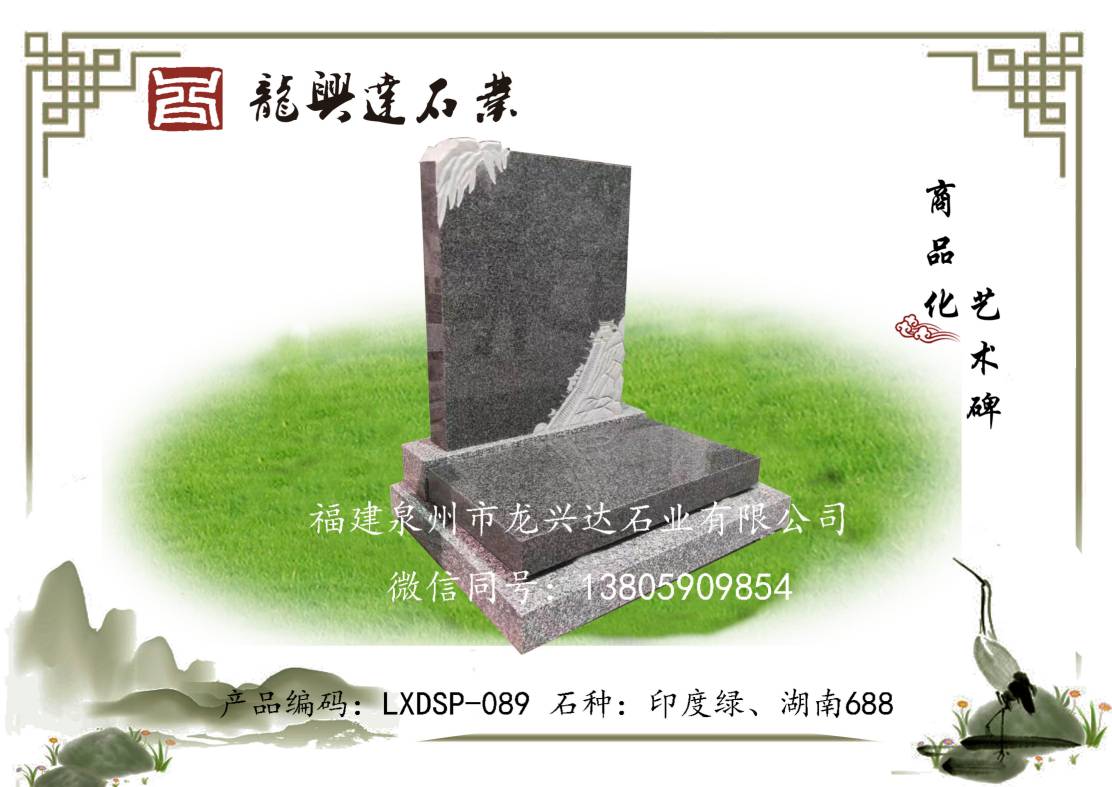 LXDSP-089