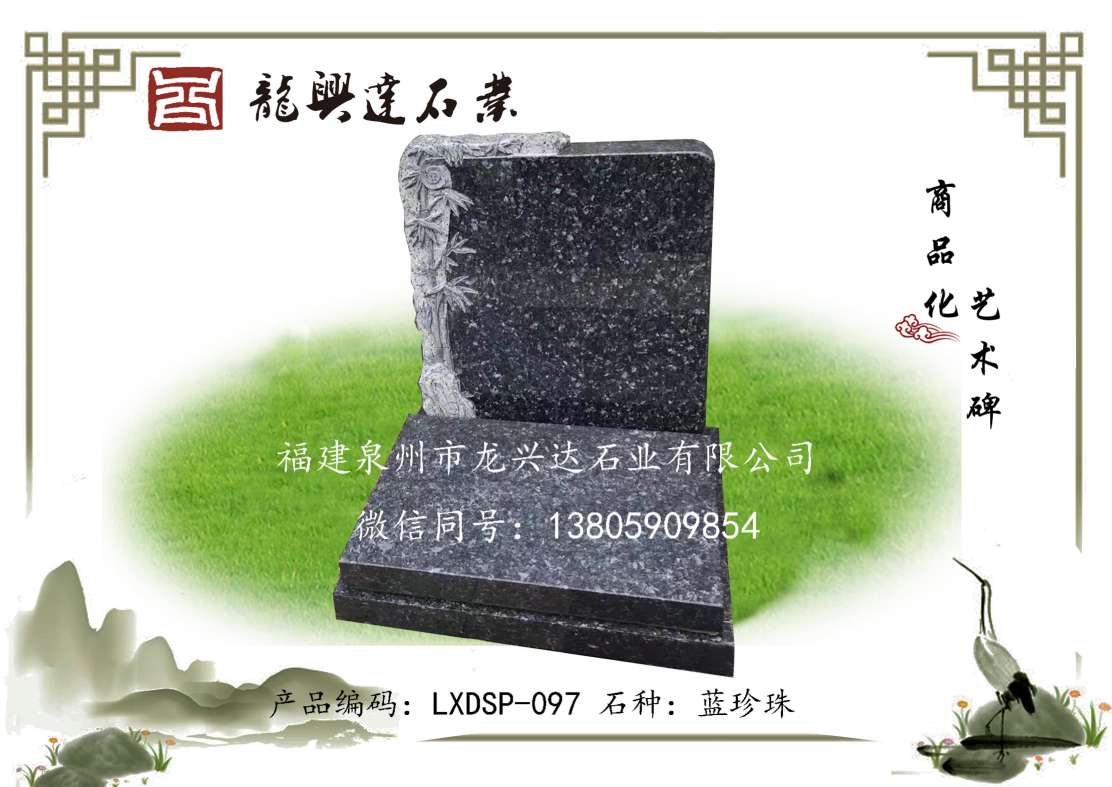 LXDSP-097