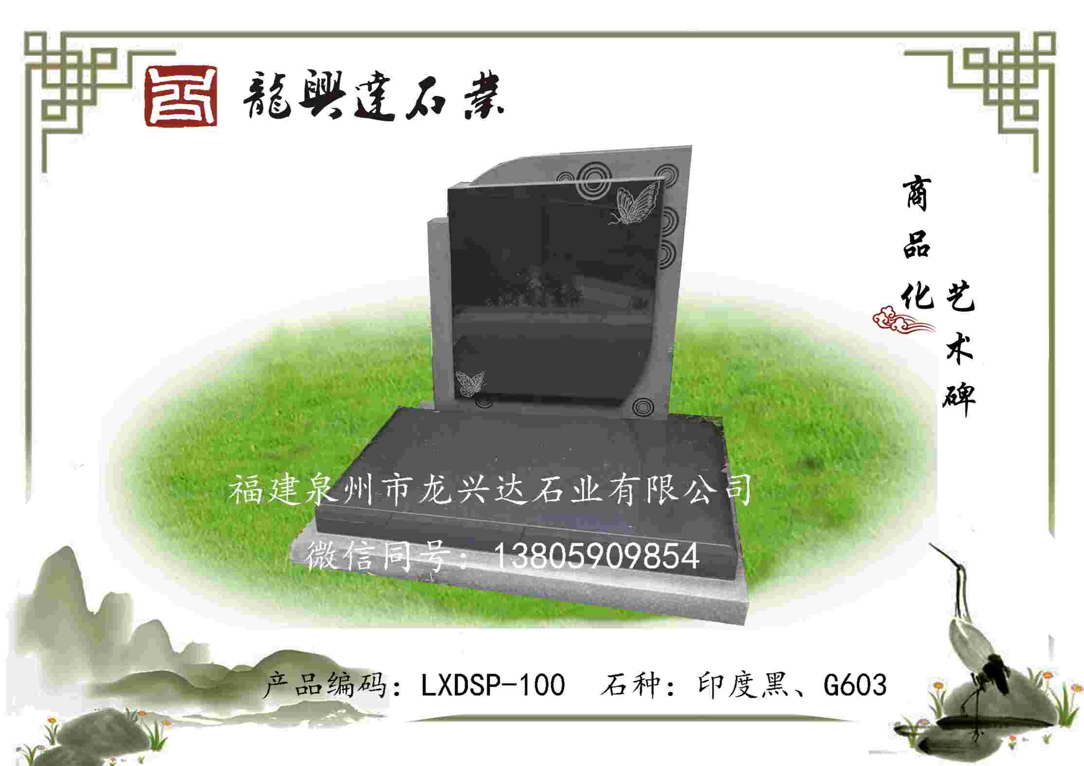 LXDSP-100