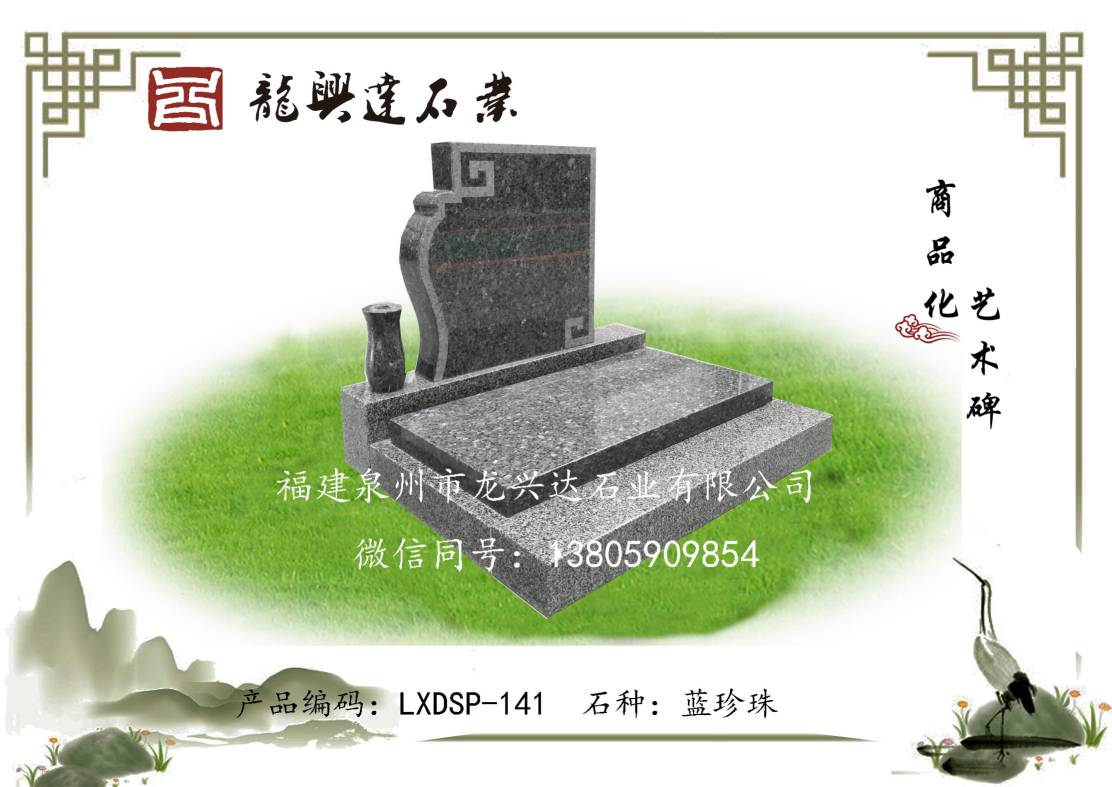LXDSP-141