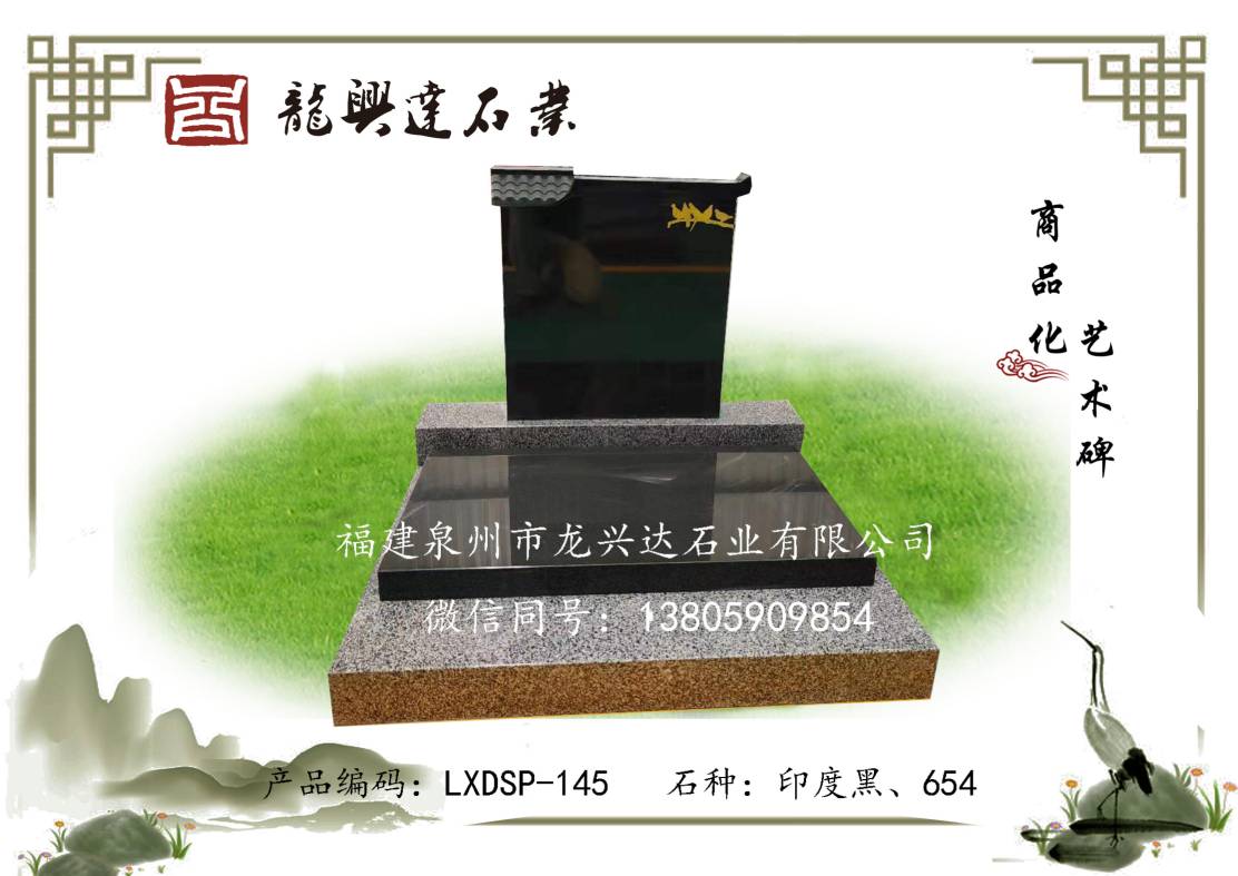 LXDSP-145
