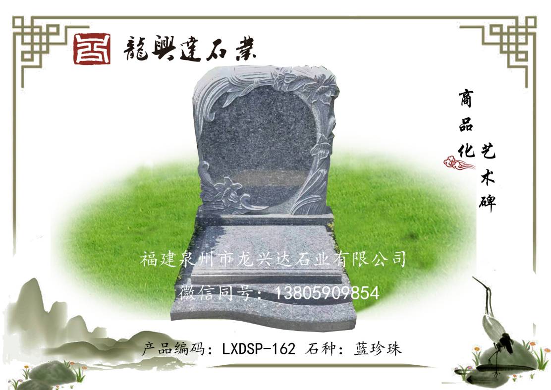 LXDSP-162