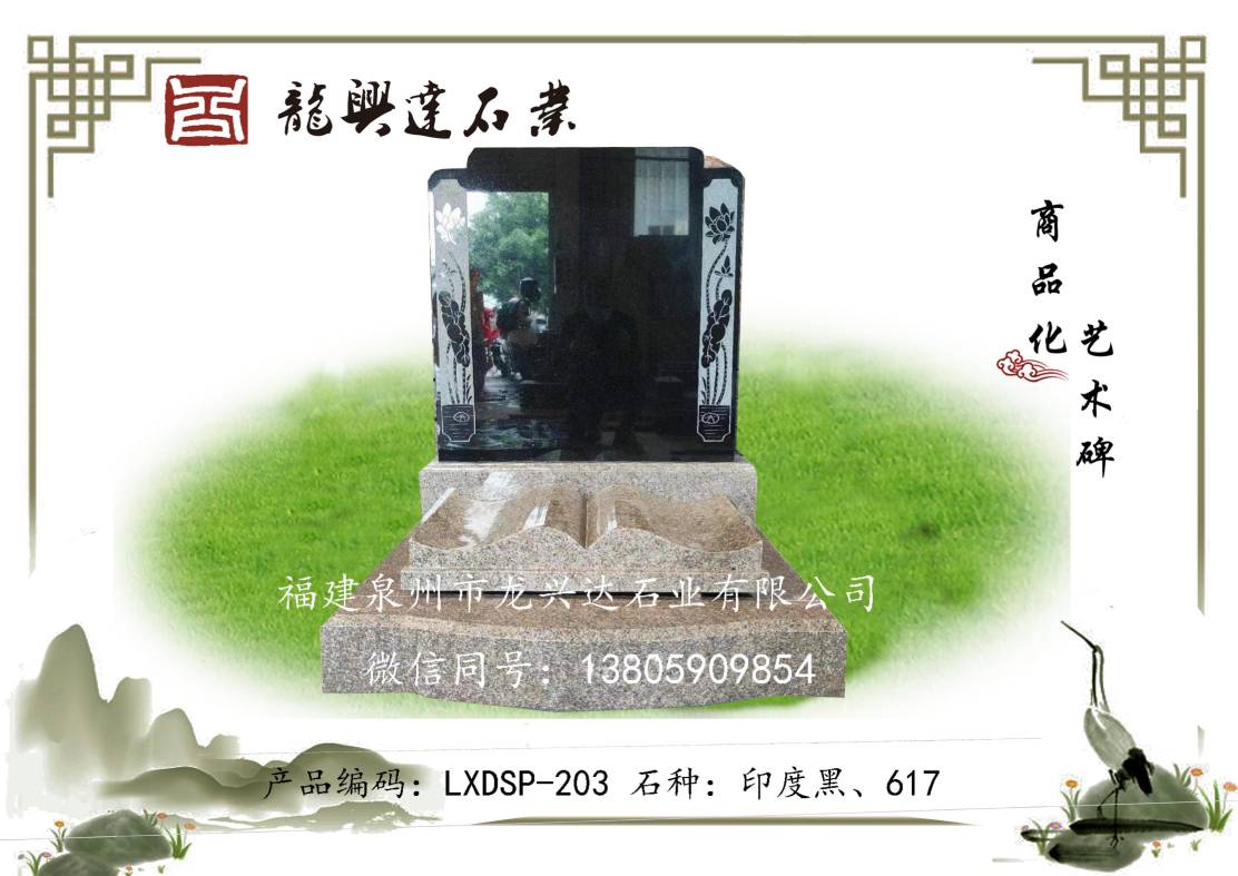 LXDSP-203