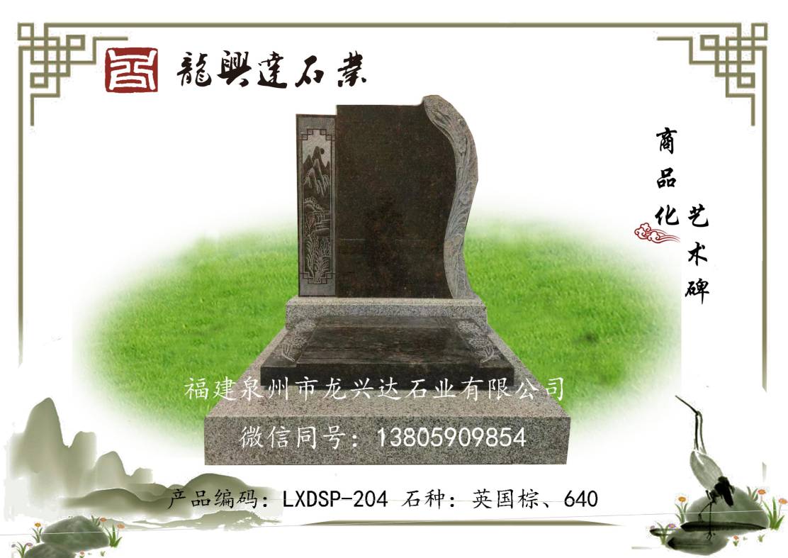 LXDSP-204