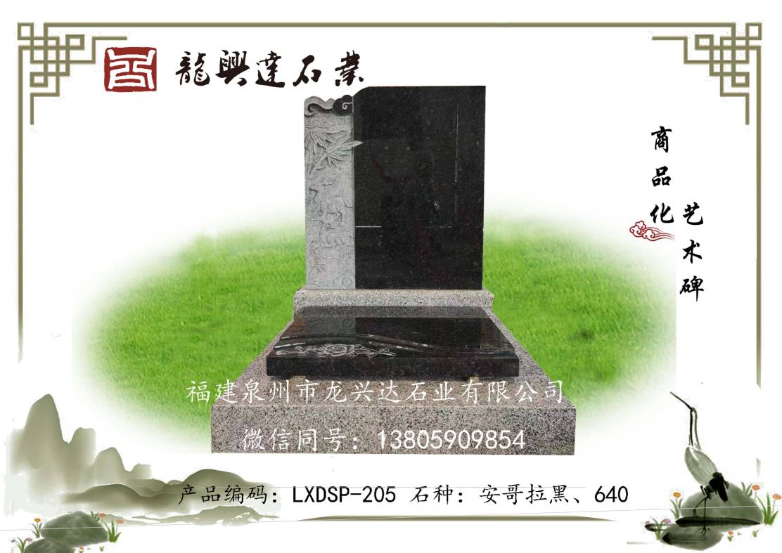 LXDSP-205