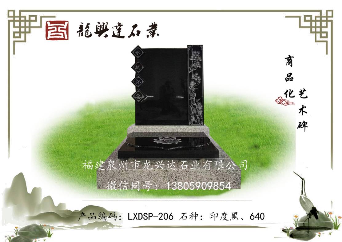 LXDSP-206