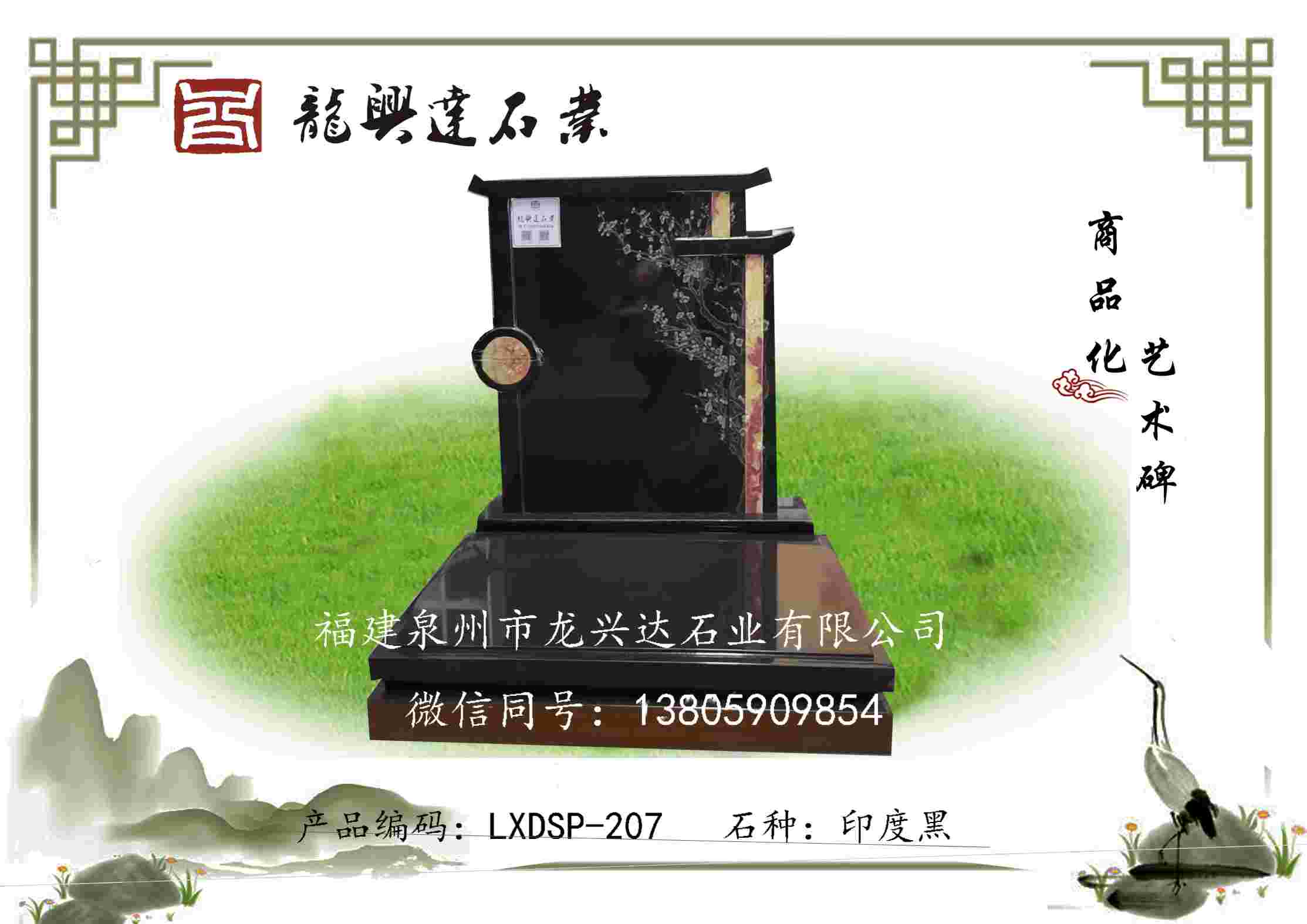 LXDSP-207