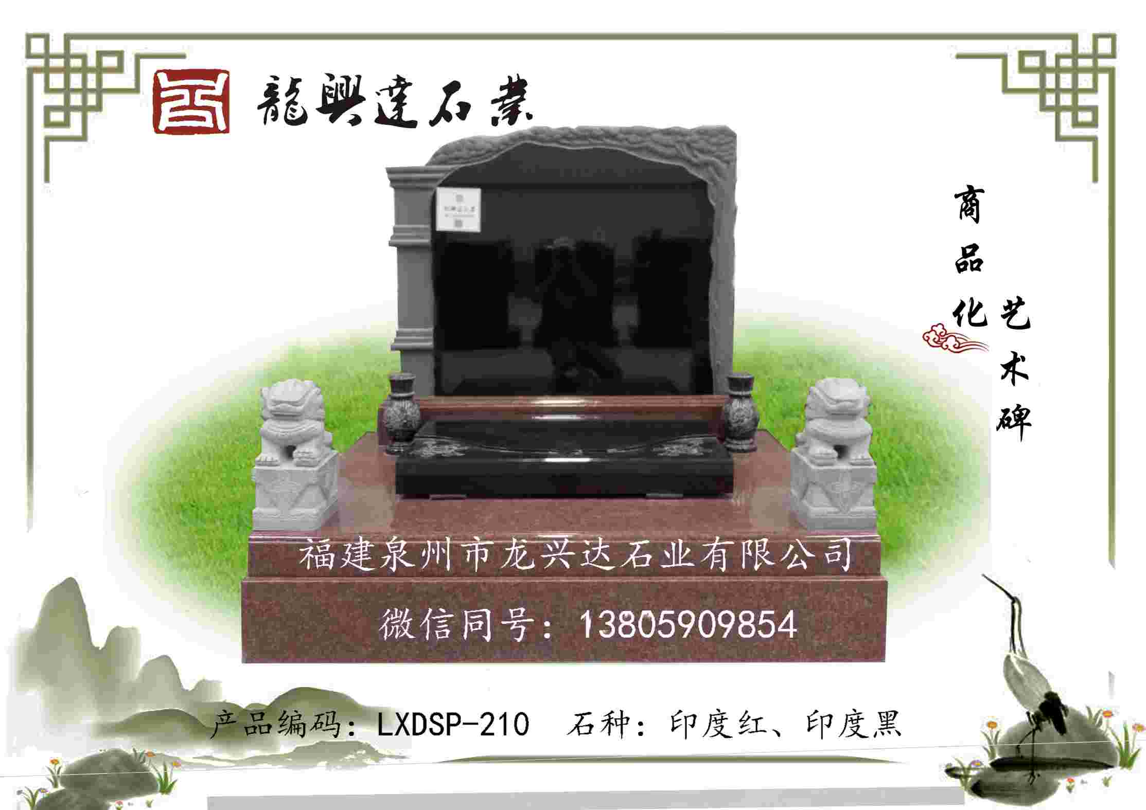 LXDSP-210