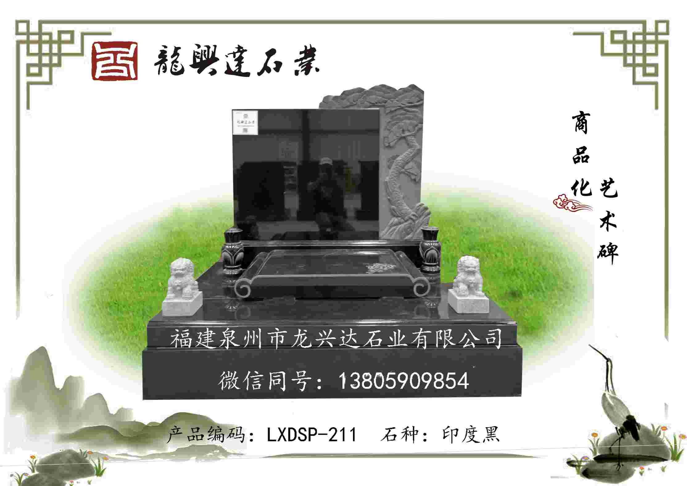 LXDSP-211
