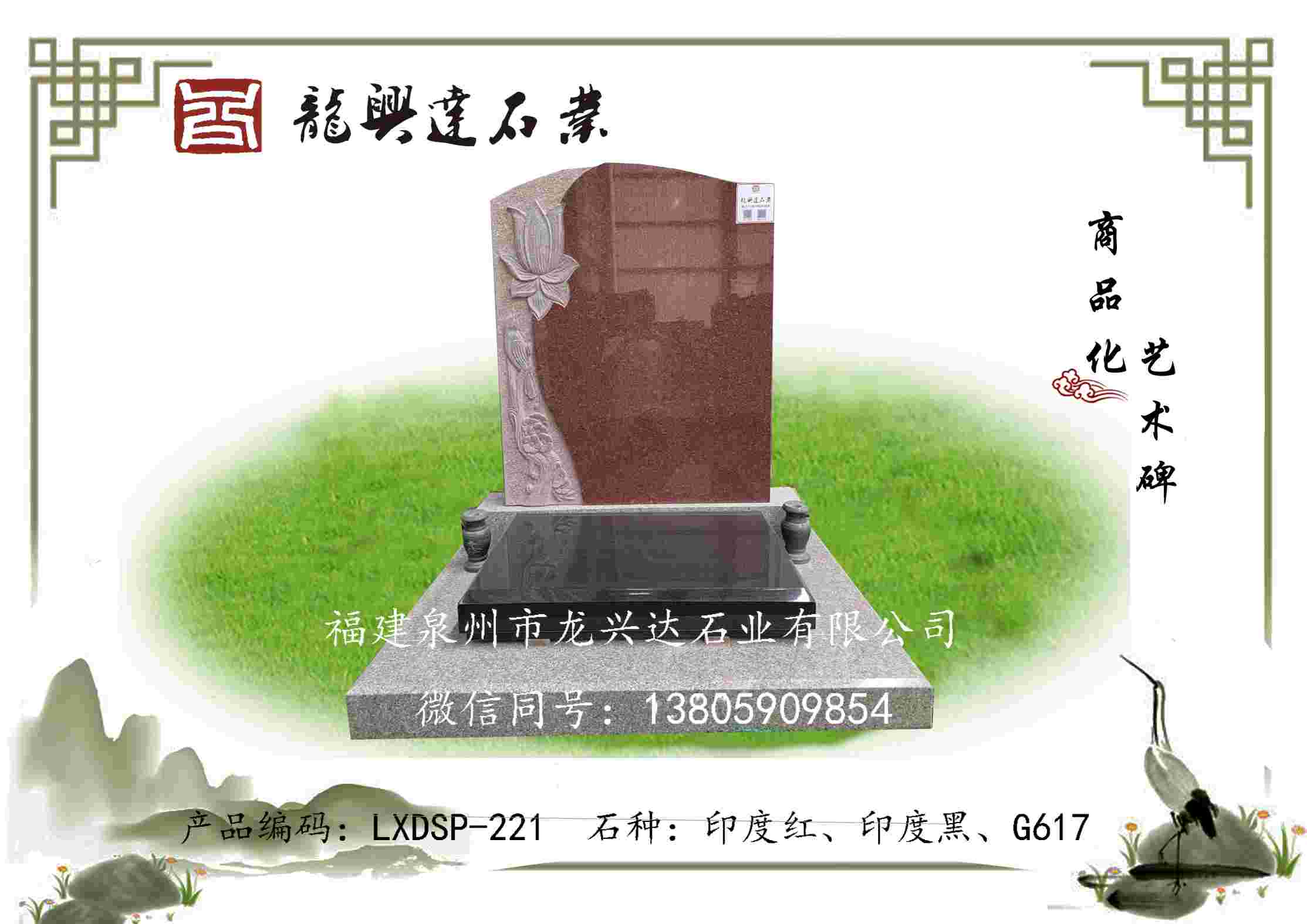 LXDSP-221