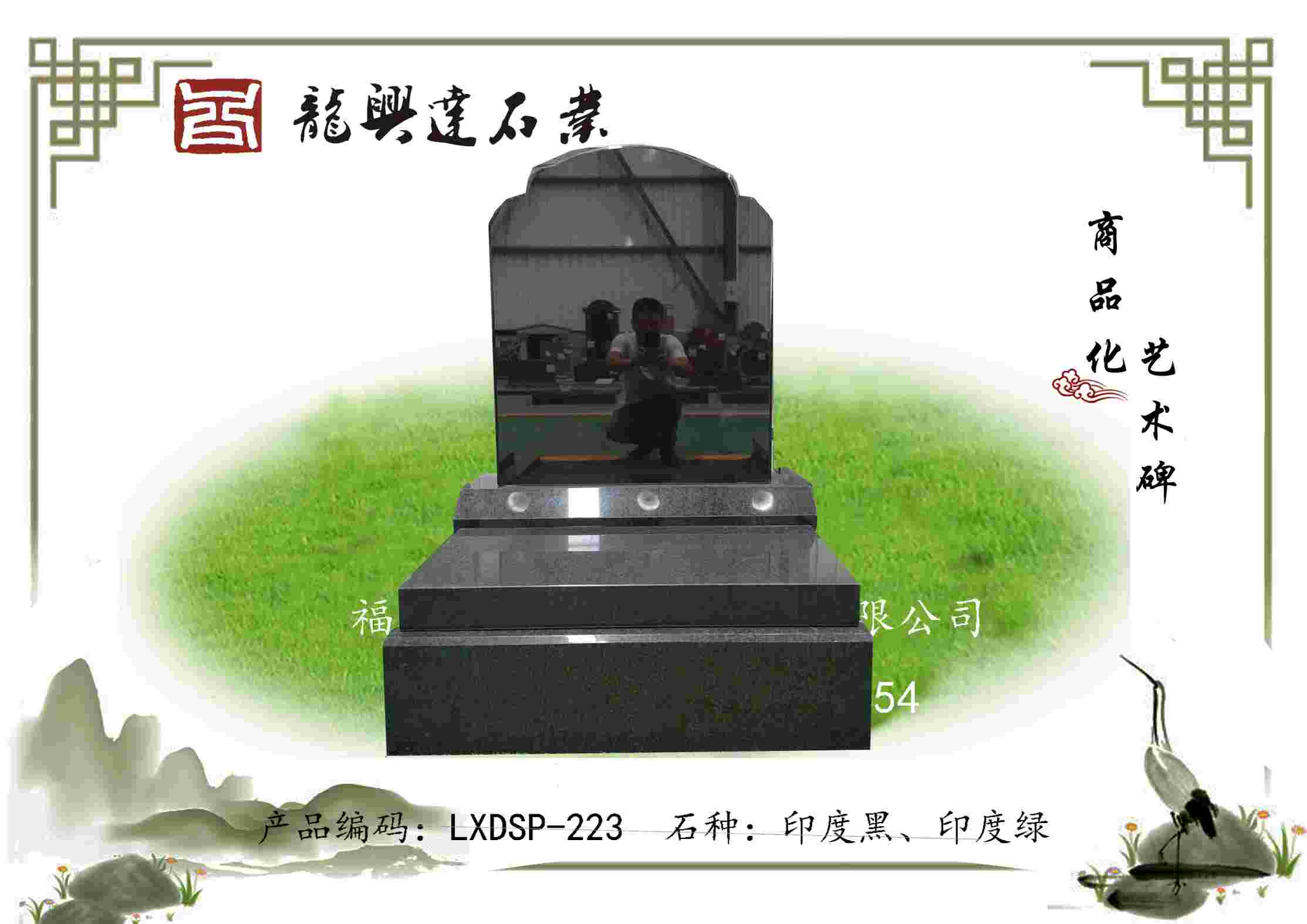 LXDSP-223
