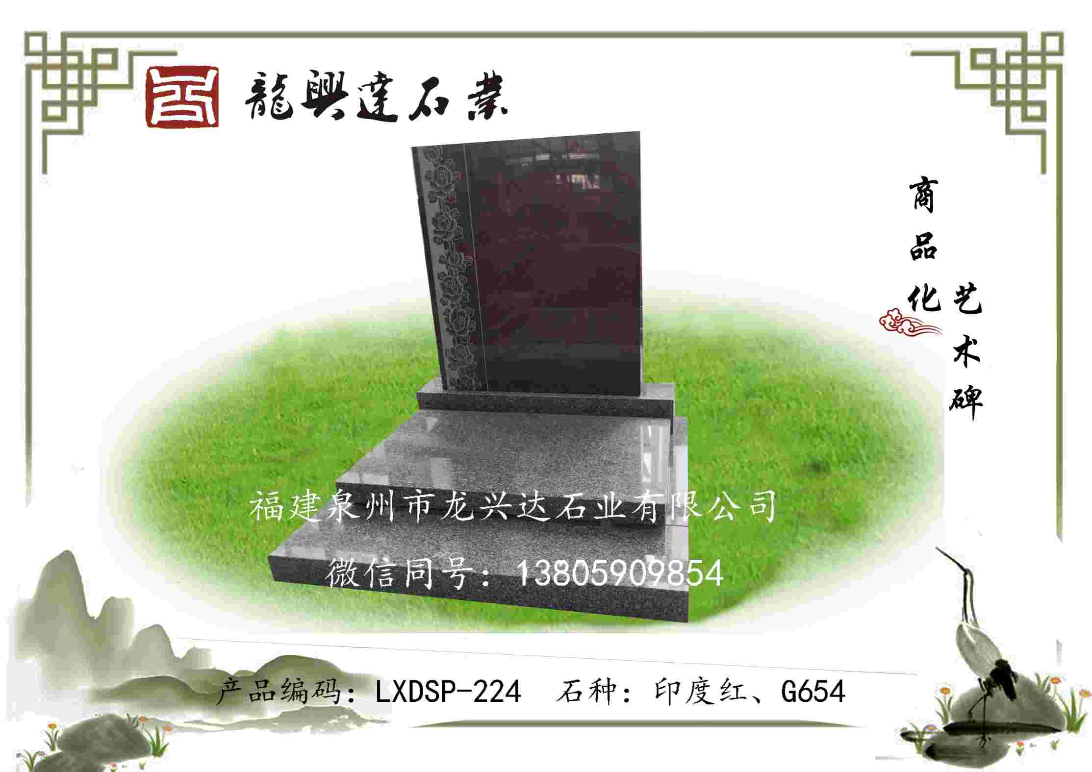 LXDSP-224
