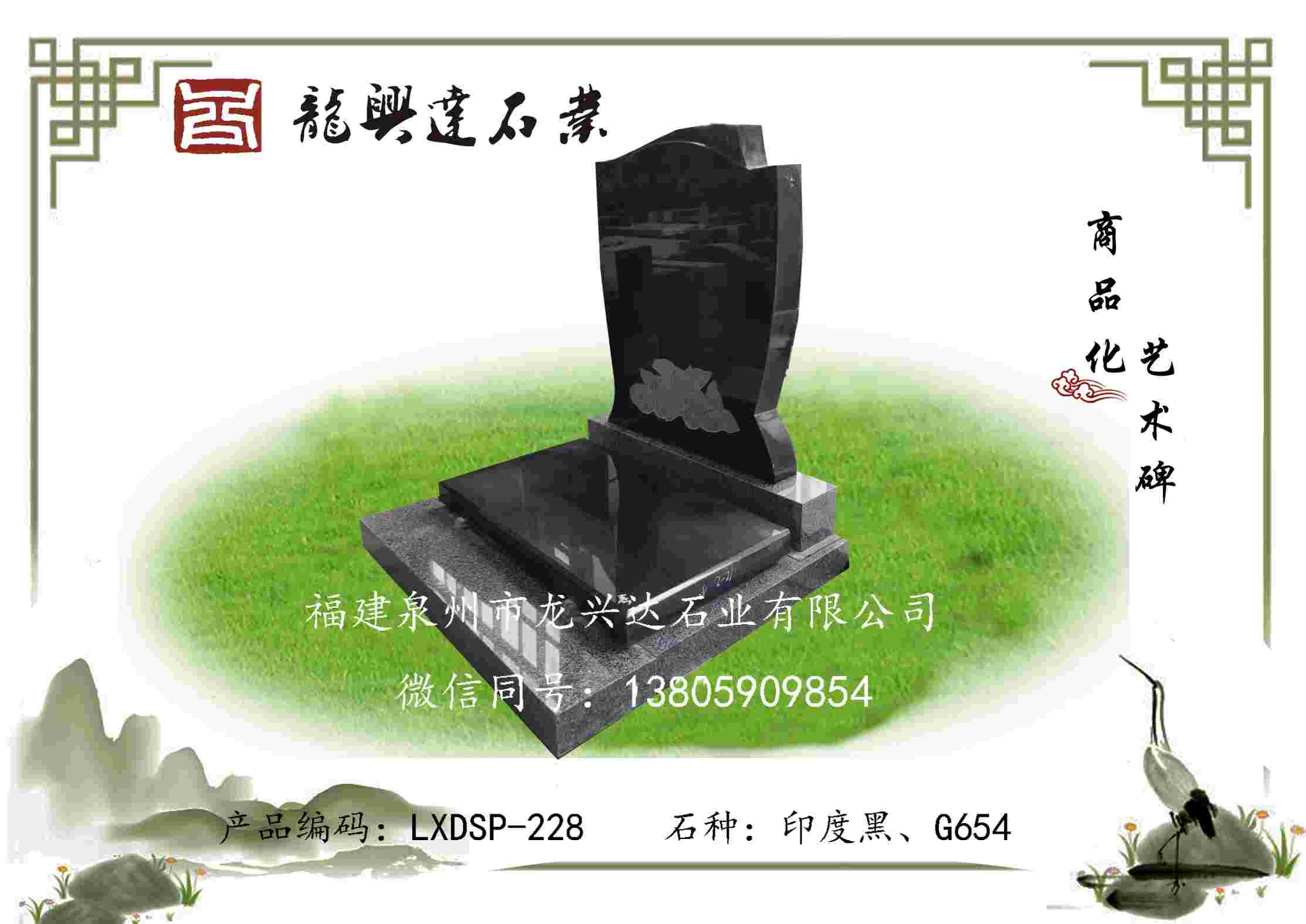 LXDSP-228
