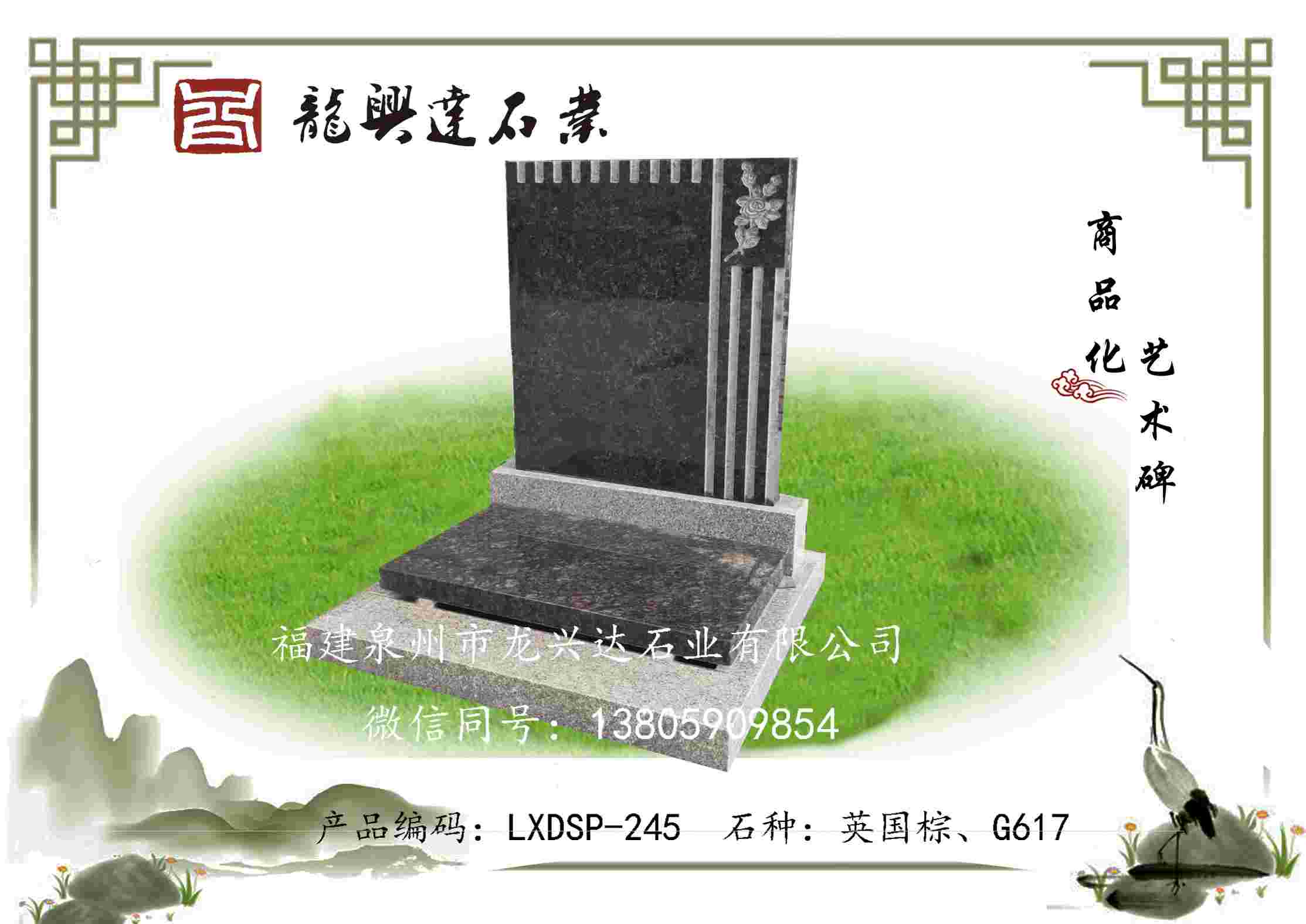 LXDSP-245
