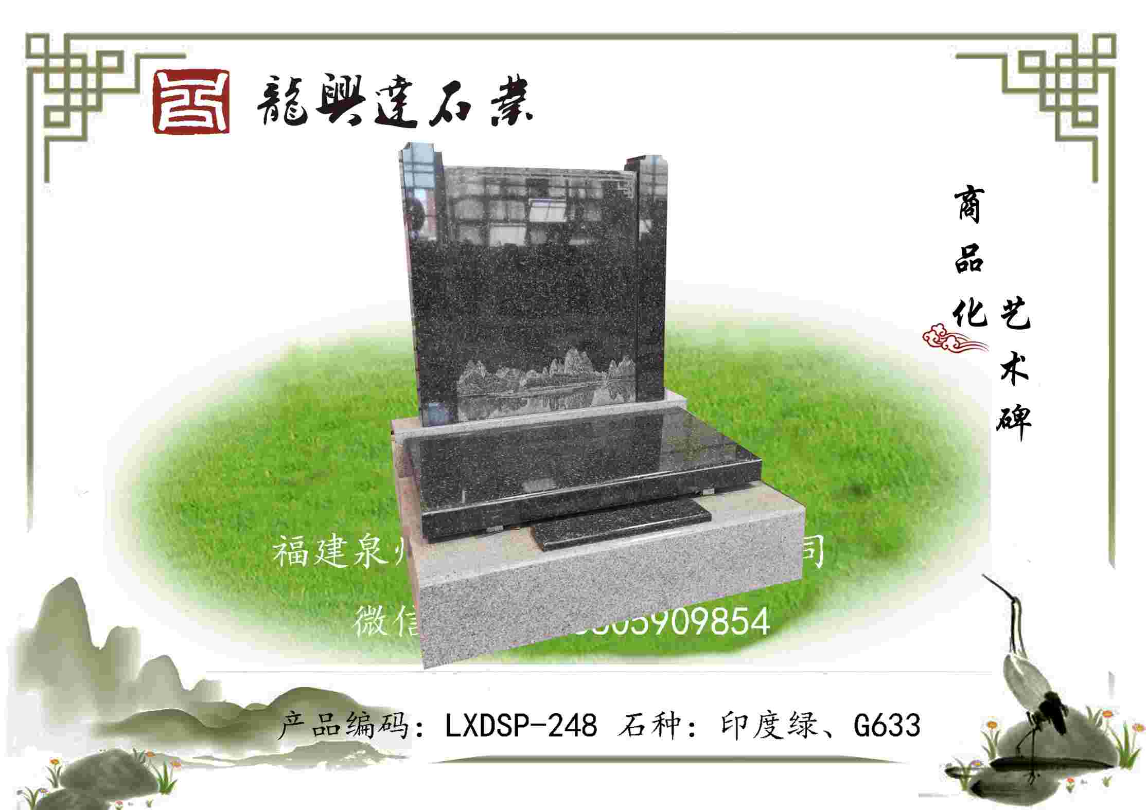 LXDSP-248