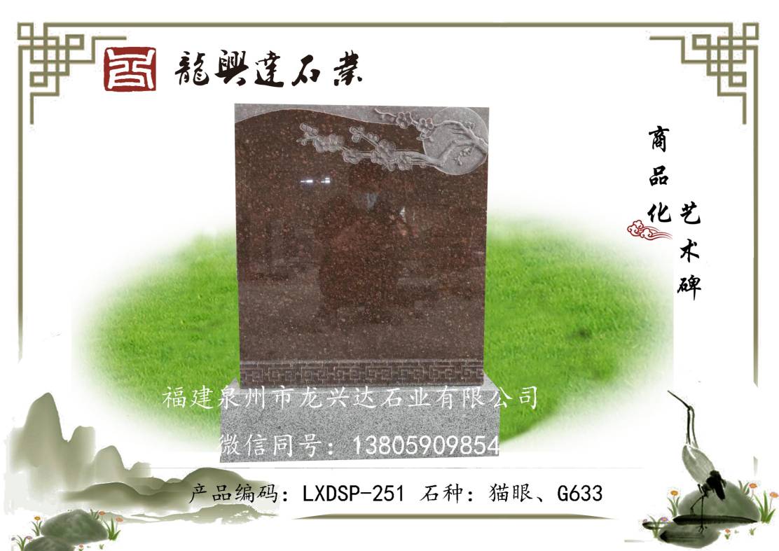 LXDSP-251