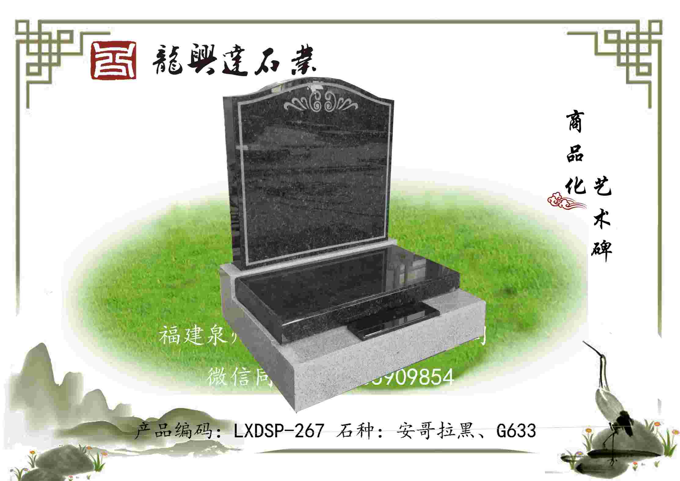 LXDSP-267