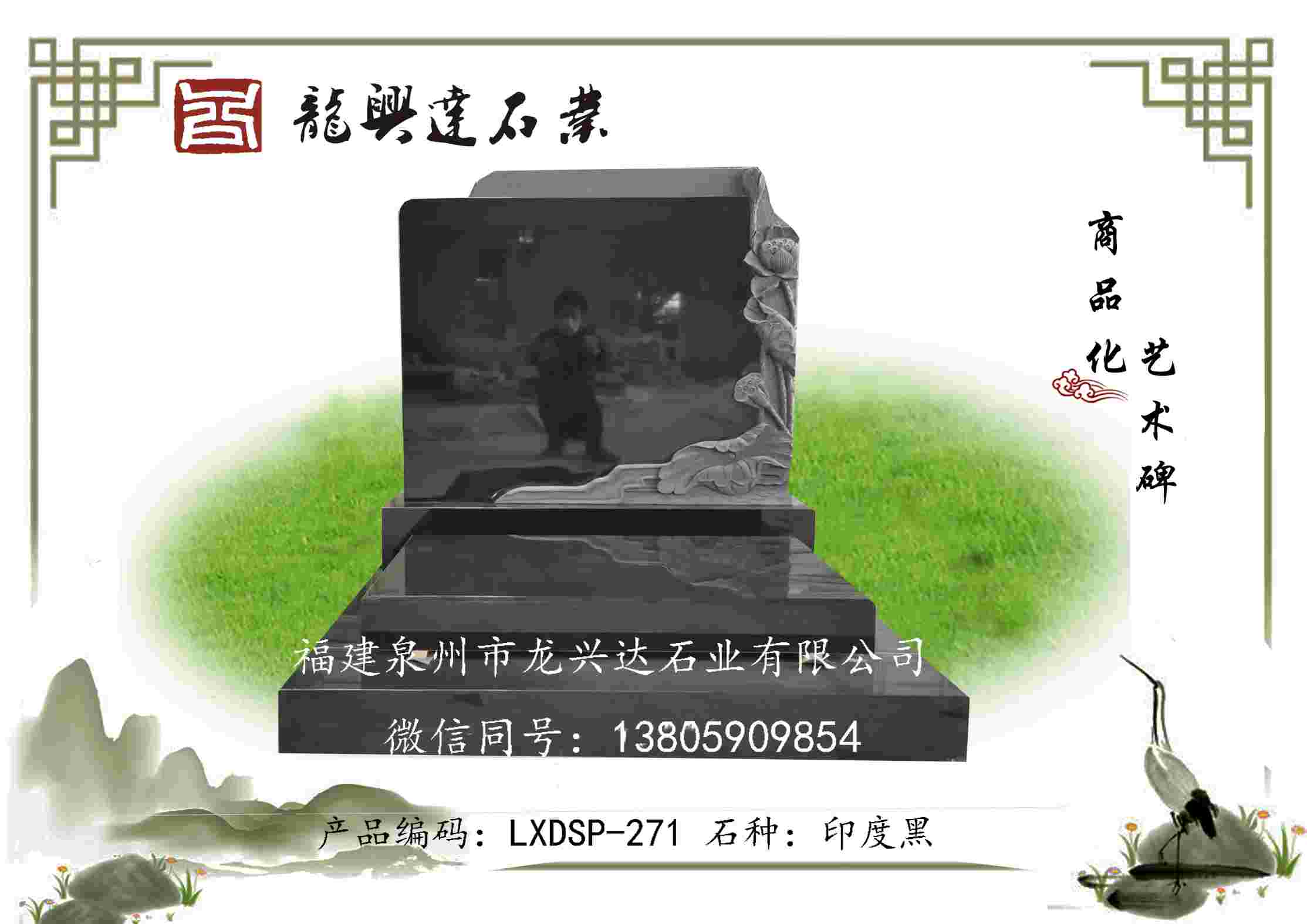 LXDSP-271