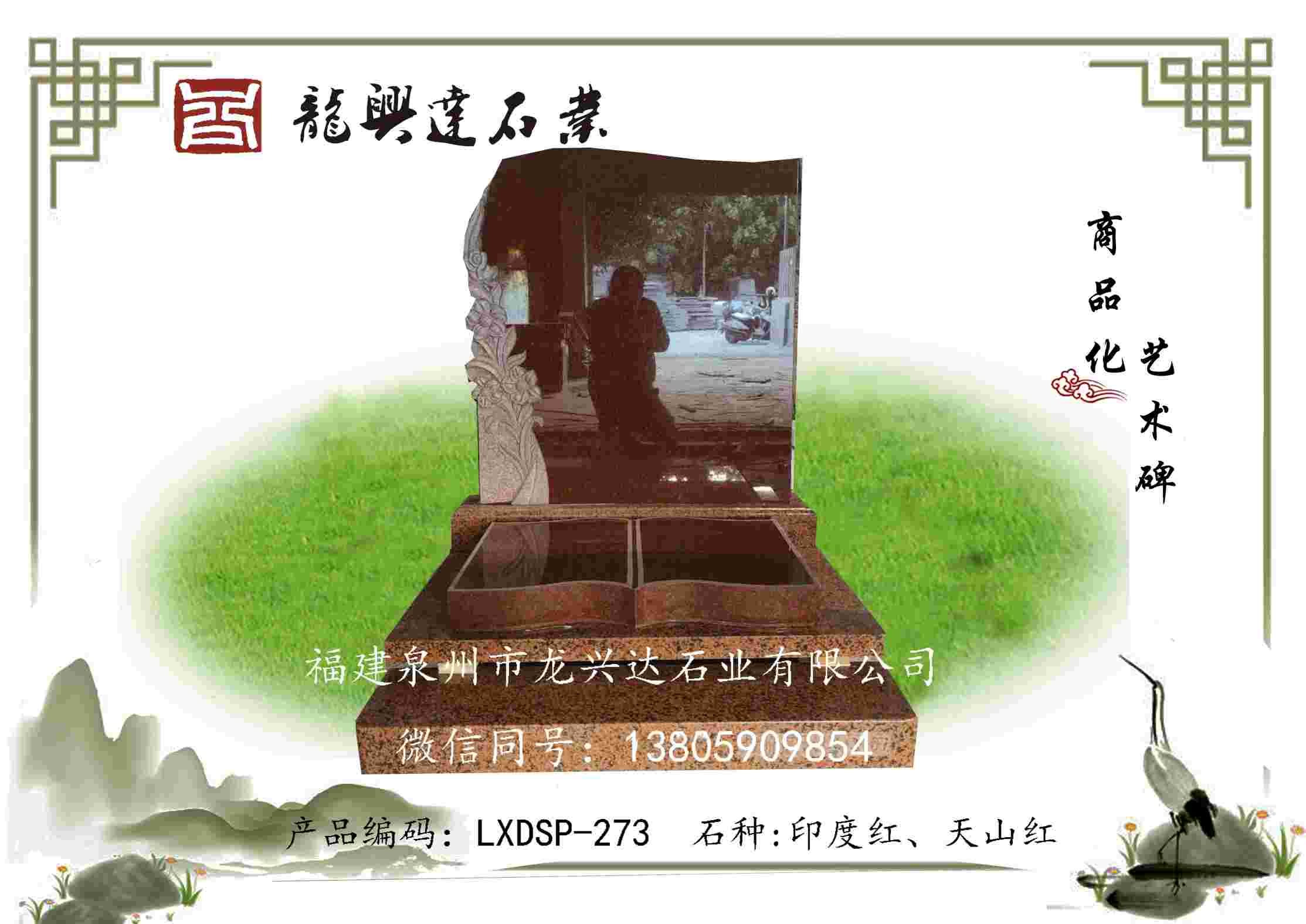 LXDSP-273