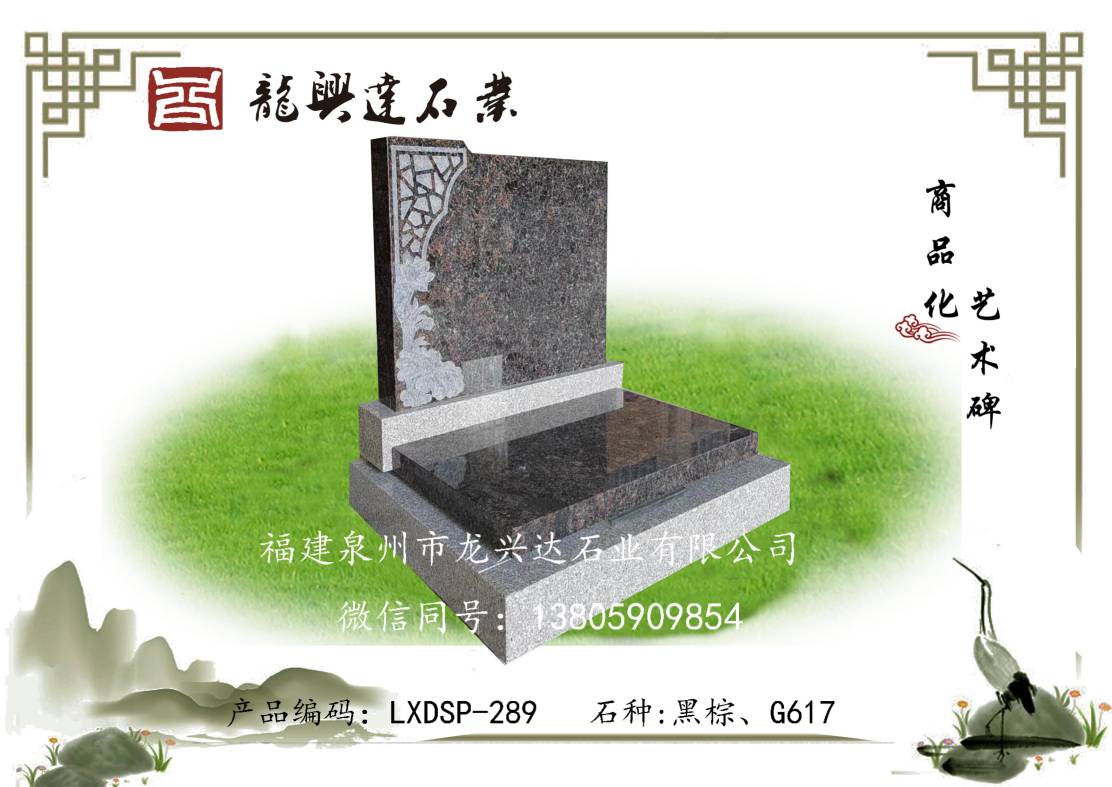 LXDSP-289