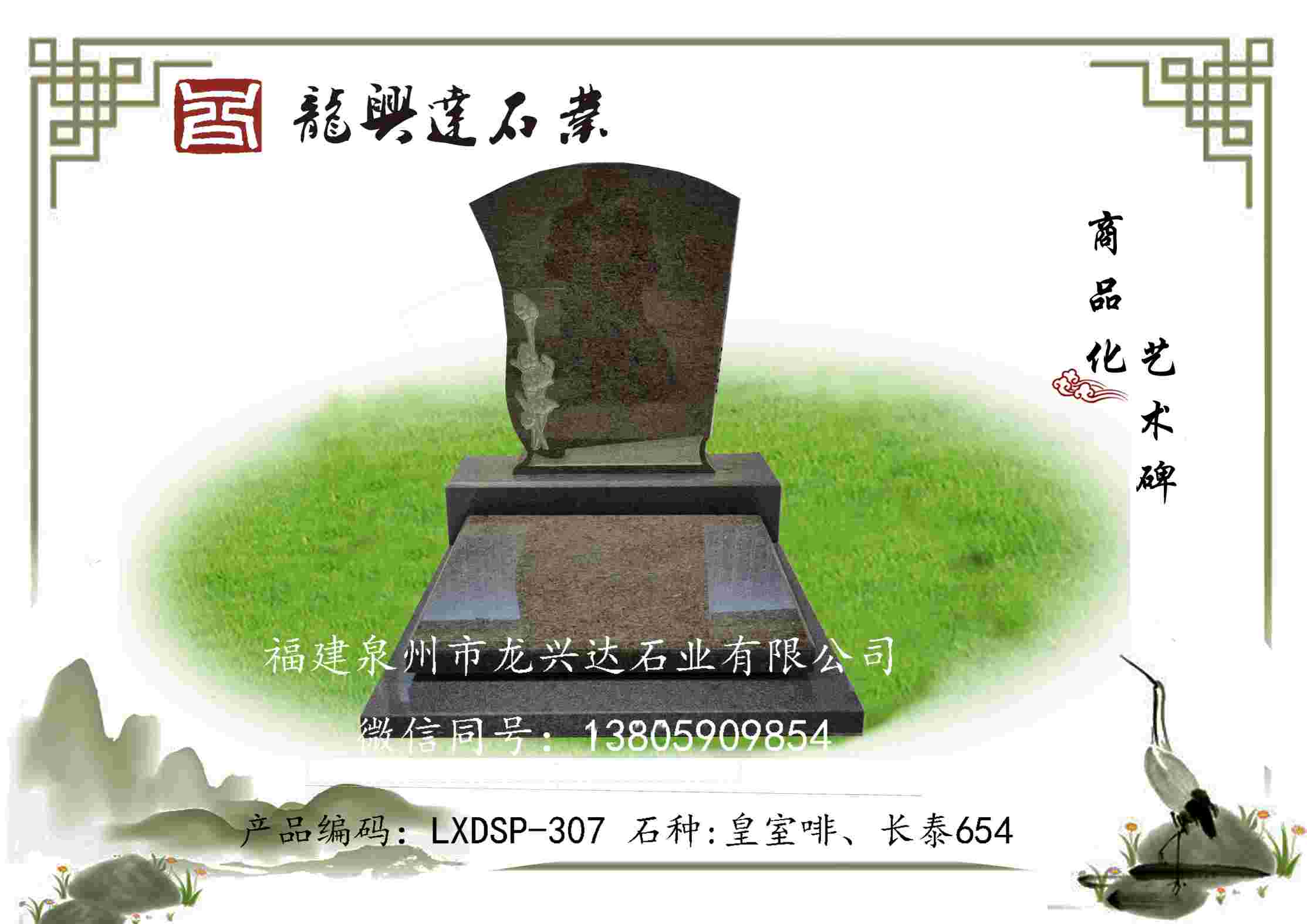 LXDSP-307