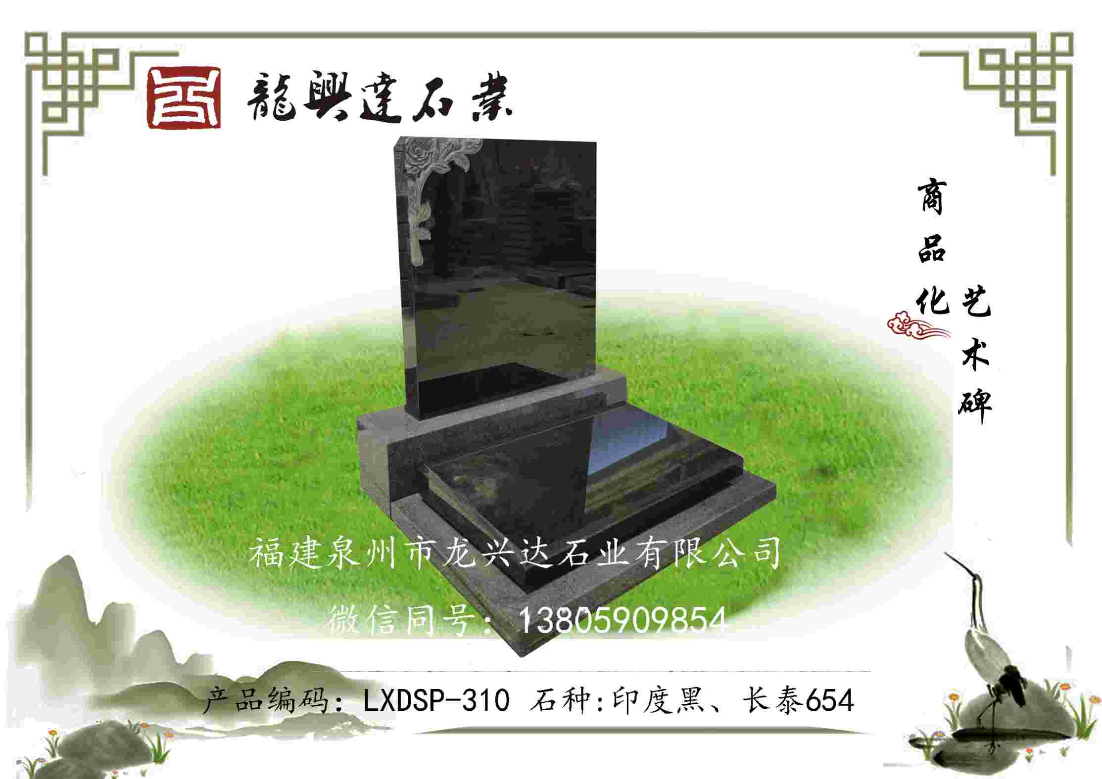 LXDSP-310