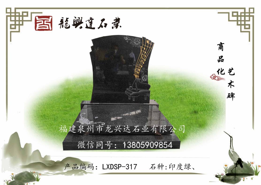 LXDSP-317