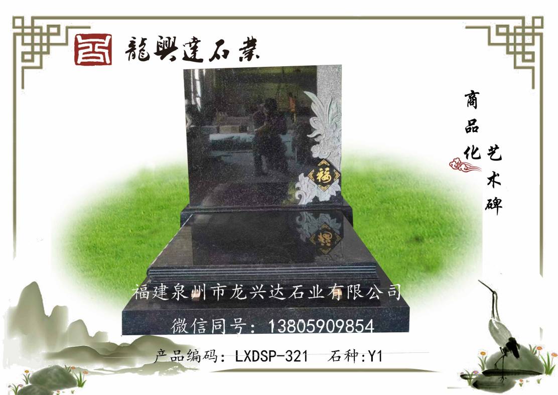 LXDSP-321