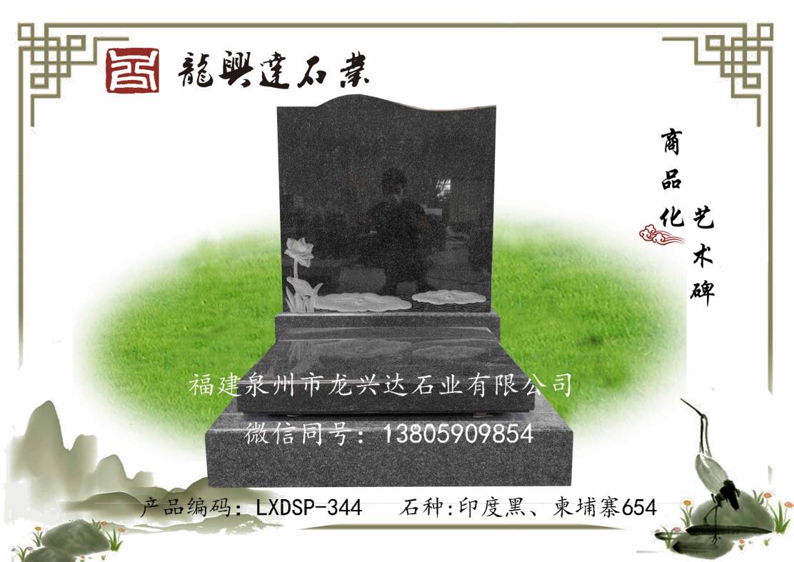 LXDSP-344